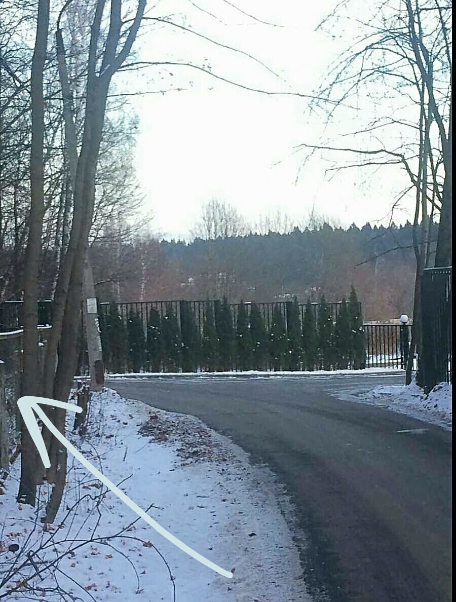 Участок Чубайса в Переделкино