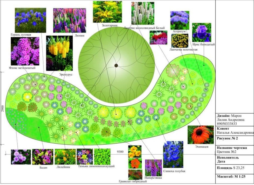Чертеж клумбы (81 фото)