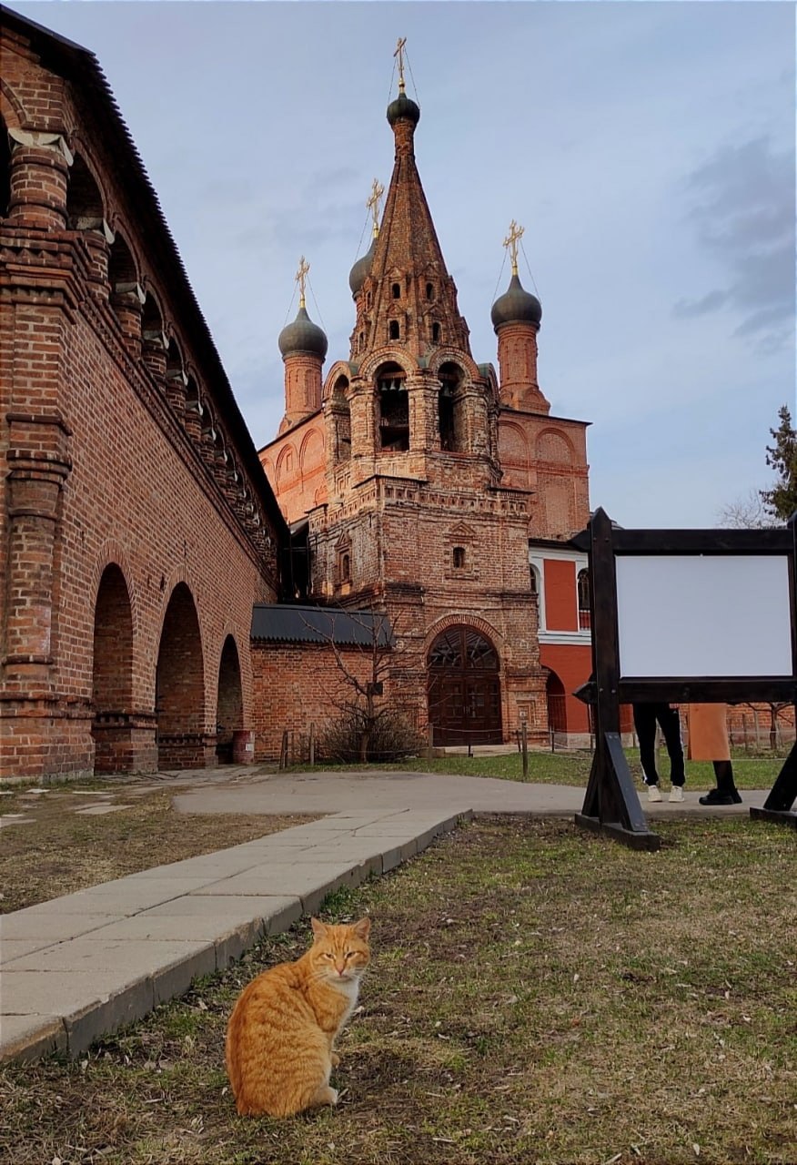 Отец Никита Крутицкое подворье
