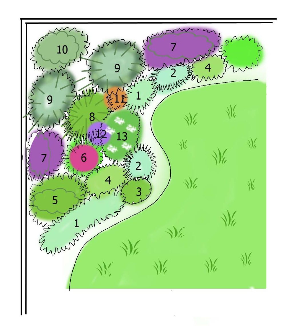 Схемы посадки растений в ландшафтном дизайне