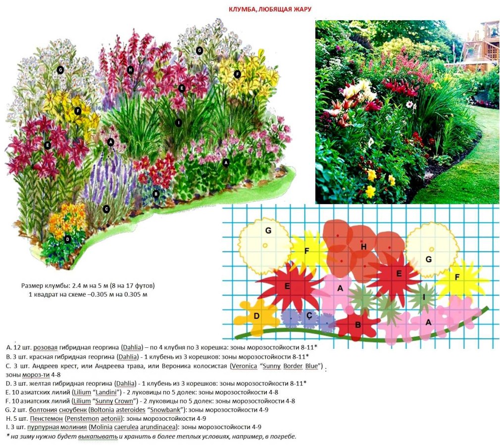 Дизайн клумбы из многолетников с названиями и описанием