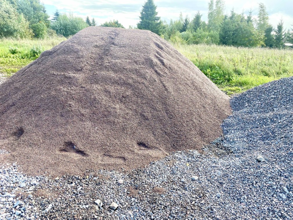 Отсев в новинке Гатчинского района Ленинградской области