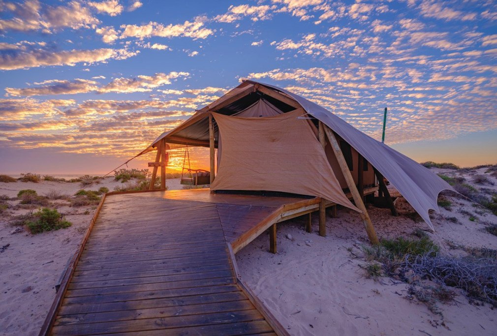 Eco Holiday Alaska
