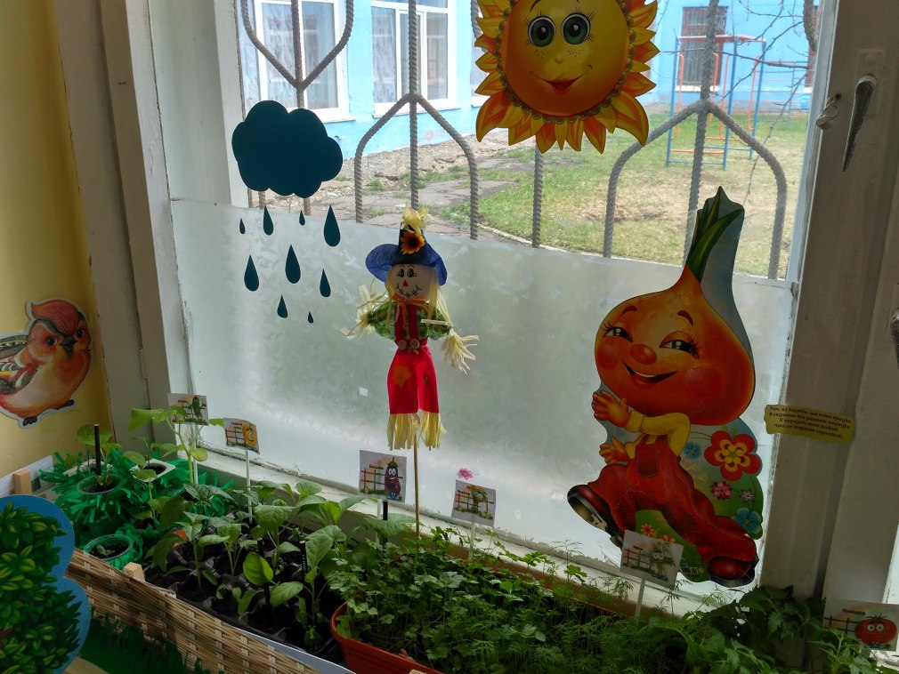 Огород на окне в детском саду оформление (52 фото)